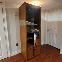 2 Wooden Cabinets