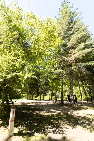 Looking for a reliable home base in the heart of sled country? Seasonal RV lots are now available at...