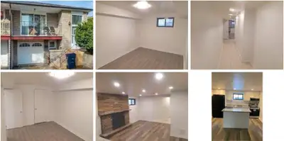 Walkout Basement for Rent