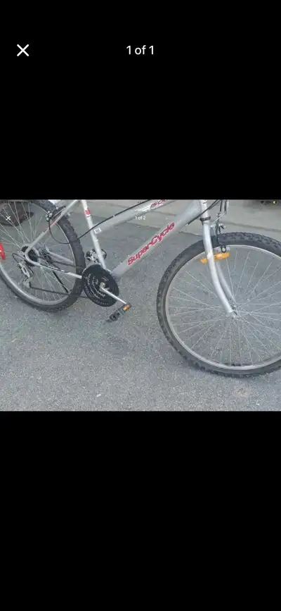 Supercycle 1500 Bike, View more