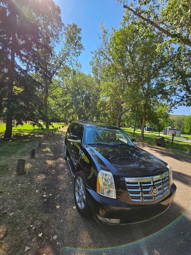 2009 Cadillac Escalade513080836616376322