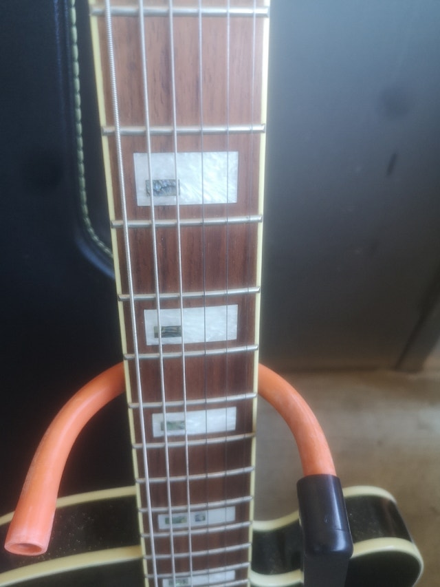 Ibanez black and gold hollowbody guitar Guitars Calgary Kijiji