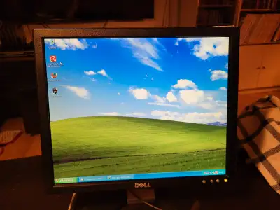 Moniteur Dell 17 pouces testé, en bon état. Écran format 4:3.