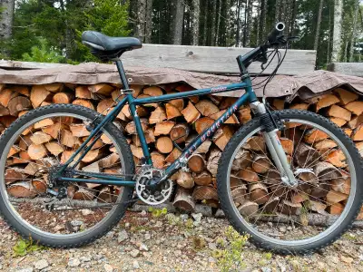 Classic Canadian Made Rocky Mountain Fusion STX & Rocky Mountain Components Judy Rock Shoxx up front...