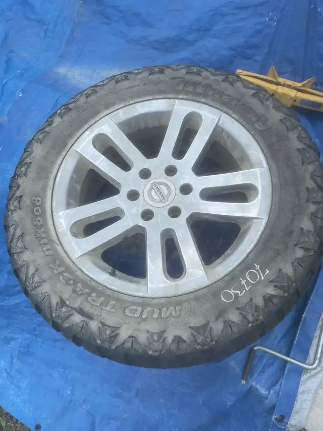 275 60r20 tires on rims