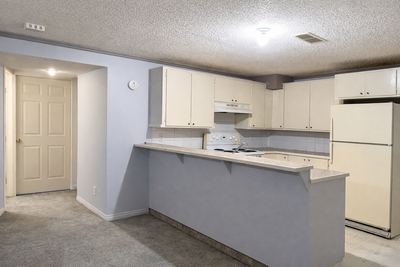 Large 950 sq ft 1-bedroom basement suite with 1 garage spot included. Convenient Falconridge locatio...