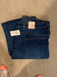 Women’s plus size jeans 