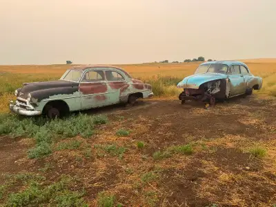 Good start to build a Deluxe 2 door Sedan right down to a factory radio and clock. Rod or resto some...