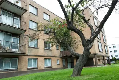Apartment 4 1/2 à Hampstead/NDG pour le 1 août