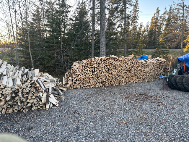 Firewood in Other in Prince Albert