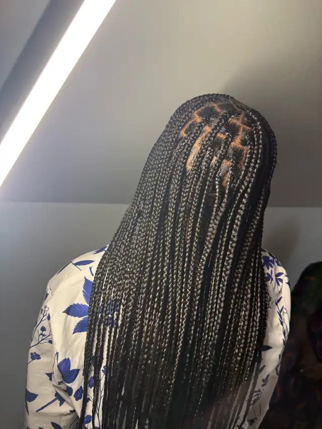 knotless braids 65309236136962121