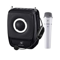 Portable PA system speaker with dual wireless microphones, 25W 5