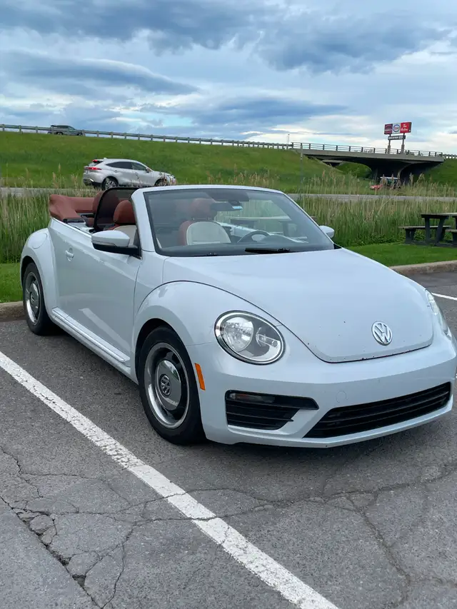 Beetle Convertible498589186529044484
