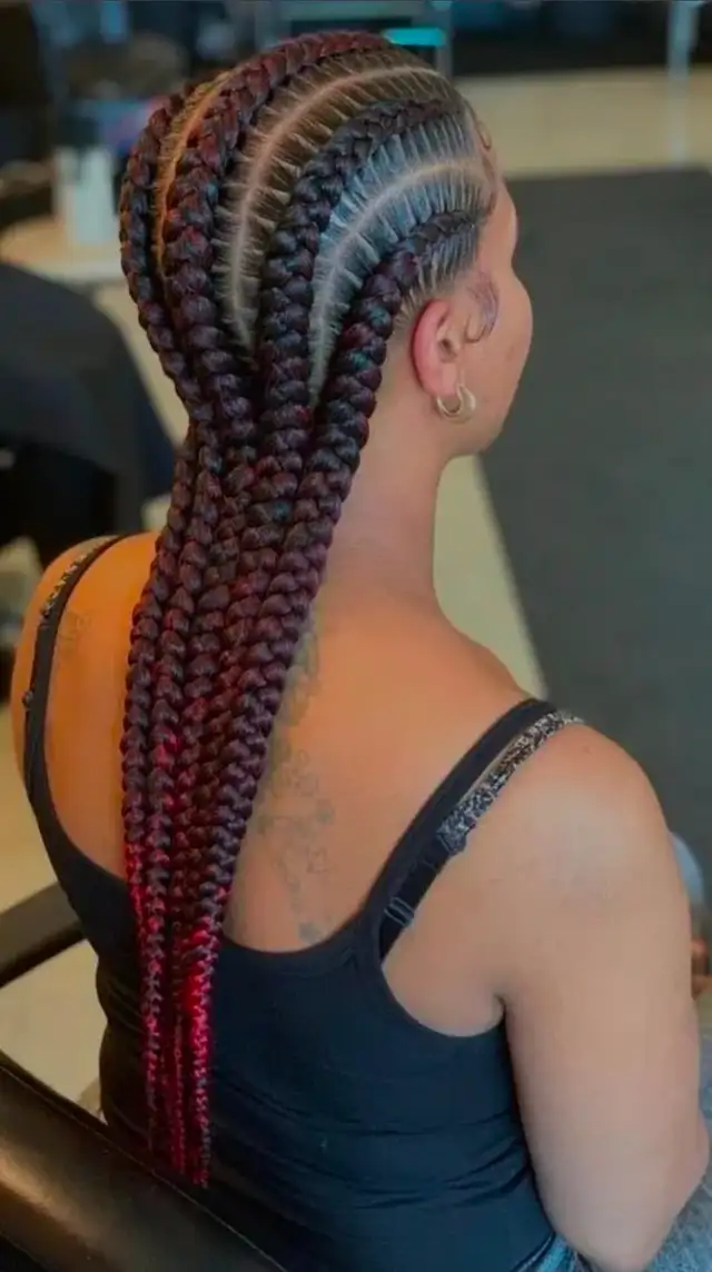Braids Braids Braids