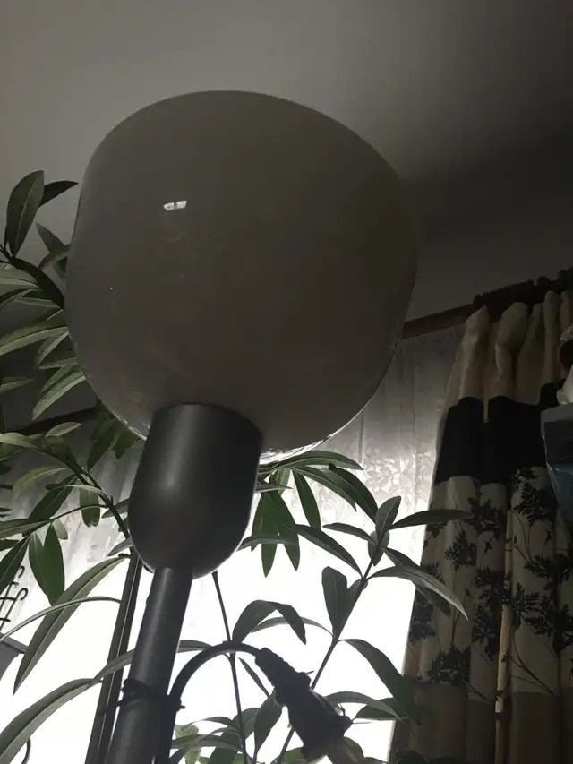 Floor lamp in Indoor Lighting & Fans in City of Montréal - Image 4
