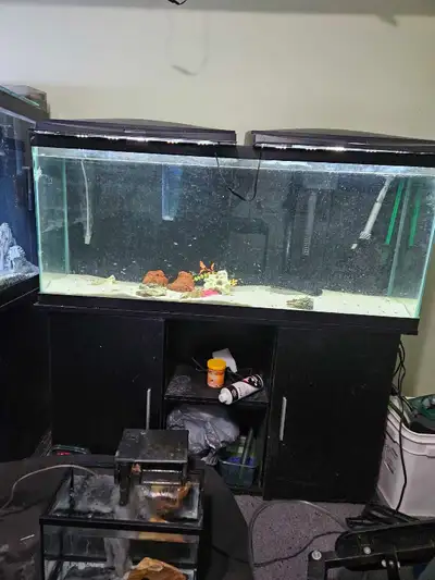 55 gallon 100$ 120 gallon 200$ Only tank