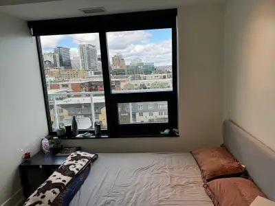 Private Room in Premium Apartment In Downtown Halifax