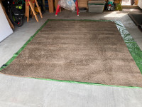 Brown 8 x 10 Foot Area Rug/Carpet