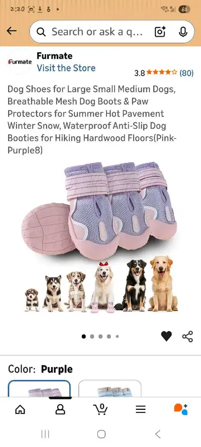 Furmate Dog Shoes, View more