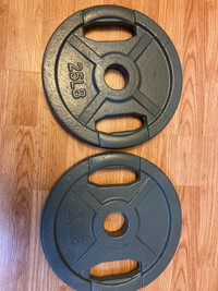 Pair of 25 lbs Olympic plates