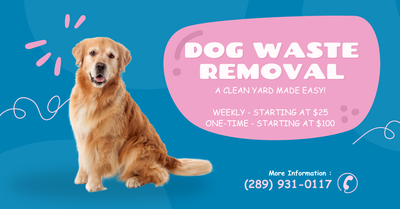 Dog Waste Removal (Poop Scooping) Service, View more