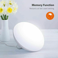 TaoTronics Light Therapy Lamp