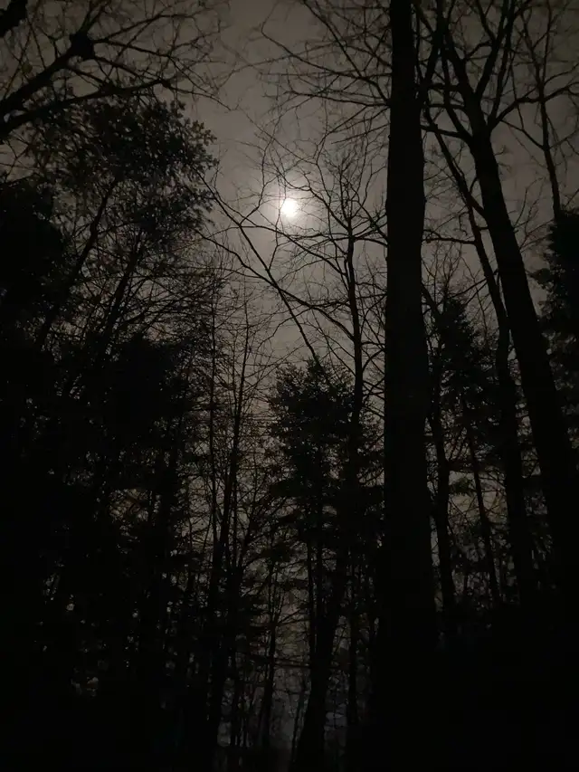 Volunteer help offered64324642247681120