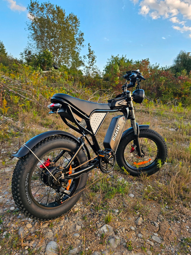 Looking for a Heavy-Duty Ebike? The Zeus Q20 is Built Tough. in eBike in City of Toronto