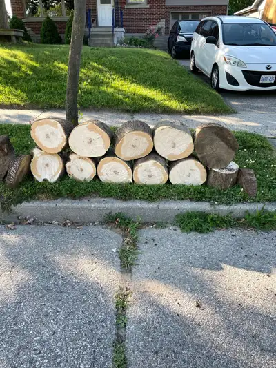 free maple firewood, View more