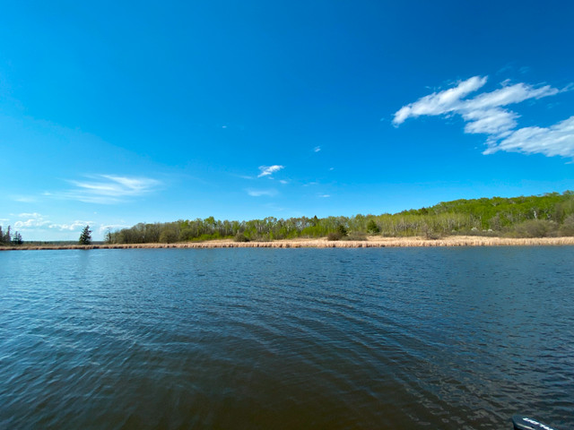 Lot 2 Big Narrows - 2.47 Acres, 895 feet of Frontage! in Land for Sale in Kenora - Image 3