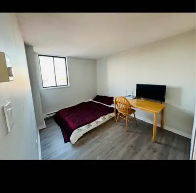 Hello! Looking for a respectful male roommate to join our beautiful two-bedroom apartment in Ottawa,...