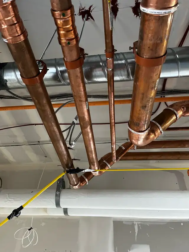 Licensed Plumbing Services426574198803671044