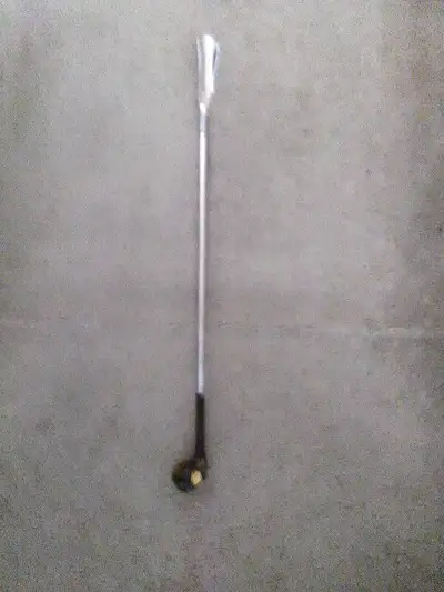 Cuillère pour souliers en forme de bâton de golf, View more