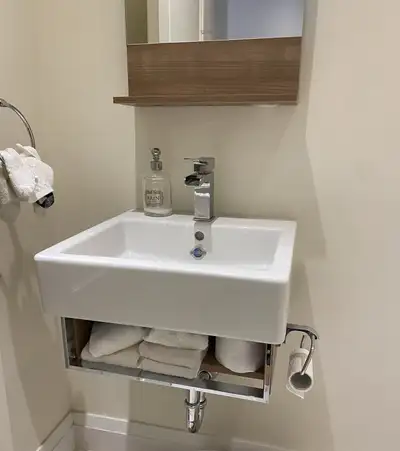 Duravit VE6003M73 wall mounted vanity with 045450001 washbasin and ZSOPO1C Riobel single hole faucet...