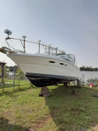 Bateau Sea Ray 300 Weekender 1989