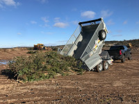 Dumpster/dump trailer rental  Drop off /Tree removal