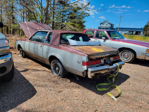 1981 Buick Regal