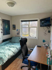 Student Summer Sublet in Victoria BC