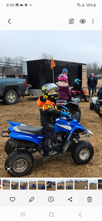 2005 yamaha raptor 50cc