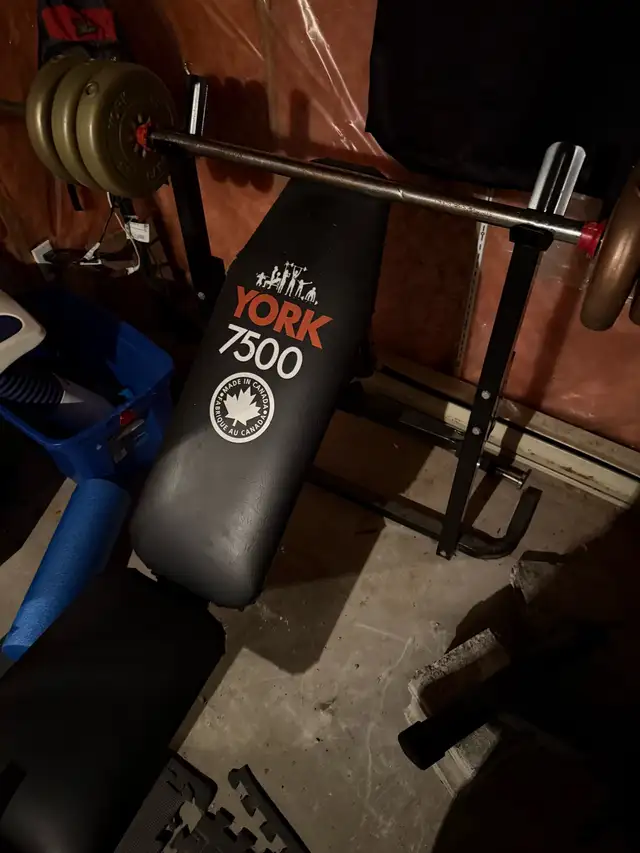 weight lift bench press493602223906498561