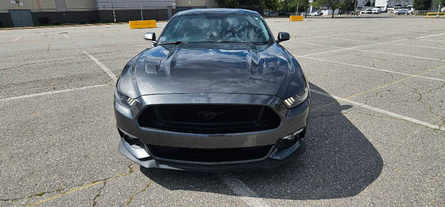 Must sell 2015 Mustang GT Premium in Cars & Trucks in Cranbrook - Image 3