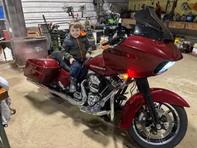 Great bike highway bar covers passenger backrest interior bags for hard bags I will safety no test d...