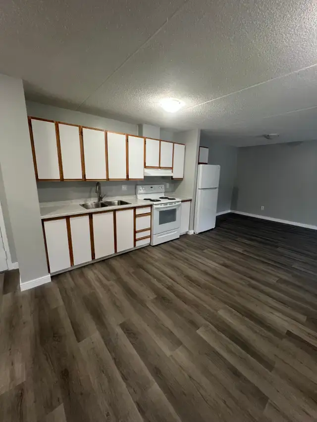 Two Bedroom Available for May Minnow Lake