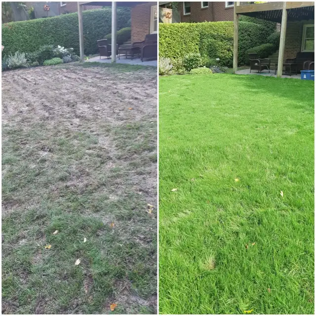 Grass cutting & Lawn Care  – Reliable, Affordable, Local!62864357994242123