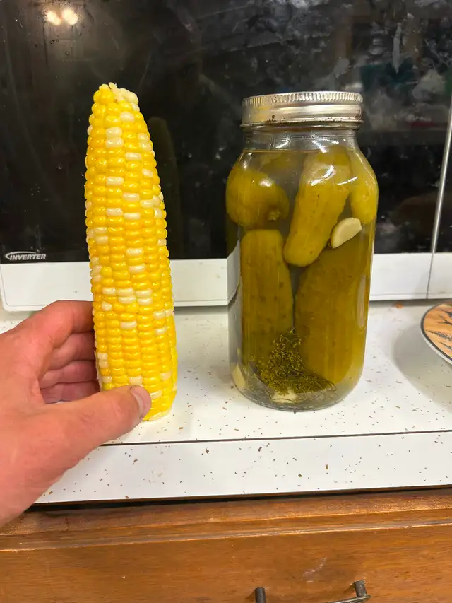 Sweet corn560191320454615042