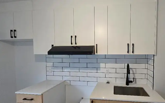 Grand logement 2 chambres et 1 bureau in Long Term Rentals in City of Montréal - Image 7