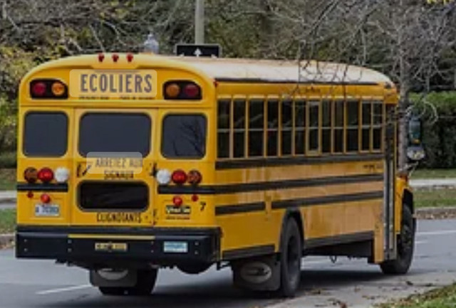Chauffeur d'autobus scolaire / School Bus driver dans Chauffeurs et gardiens de sécurité  à Ville de Montréal