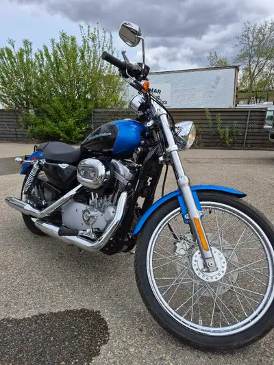 Sportster 883 – The Blue Beauty That Barely Left the Garage Low kilometres. Like, “I thought about r...