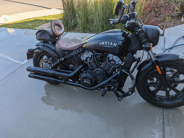 2019 Indian Scout Bobber ABS 1200cc in Street, Cruisers & Choppers in Calgary
