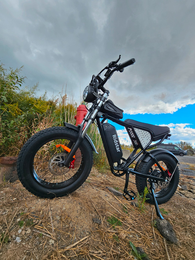 Looking for a Heavy-Duty Ebike? The Zeus Q20 is Built Tough. in eBike in City of Toronto - Image 2